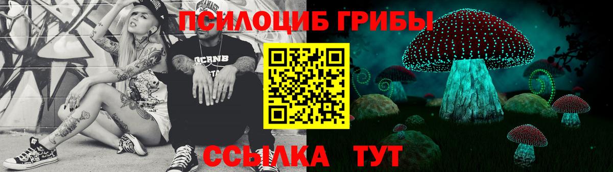 Псилоцибиновые грибы Cubensis  Вход с VPN  Псилоцибиновые грибы Cubensis  Ялта 